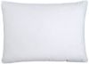 Drøm dunpute HØY 50x70 650 gram