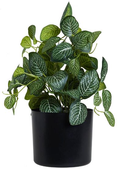 Leafy grønn plante 34 cm