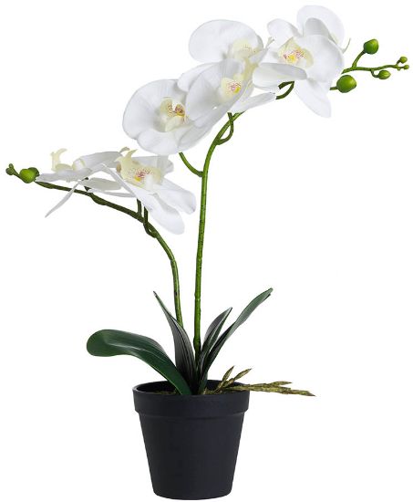 Orkidé hvit 44 cm