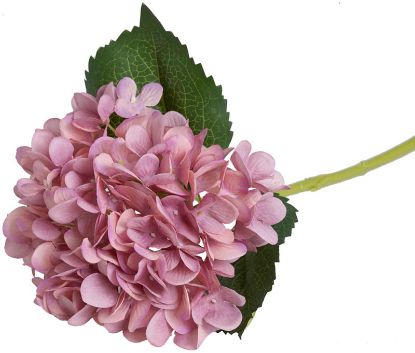 Hortensia stilkblomst 47 cm støvrosa