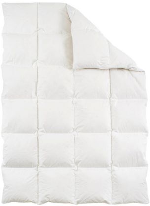 Drøm dundyne EKSKLUSIV