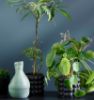 Evine vase 21 cm grønn
