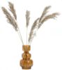 Pampas strå natur 6 pk. 65-75 cm