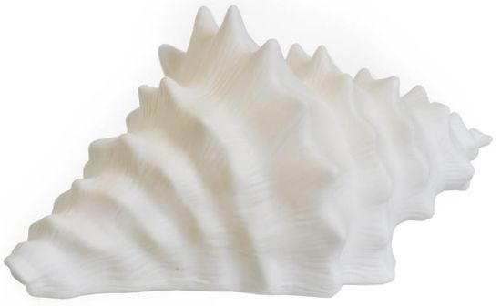 Reef skjell med LED 21 cm