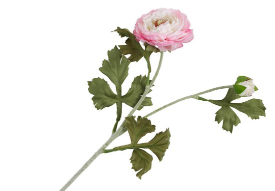 Ranunkel stilkblomst 58 cm rosa