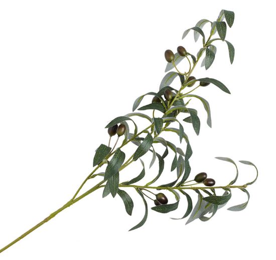 Gren oliven 73 cm