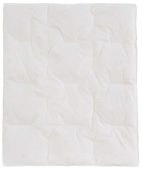 Andungen sommer 80x100 svane