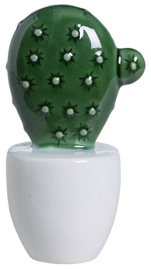 Ombria kaktus 14,5 cm