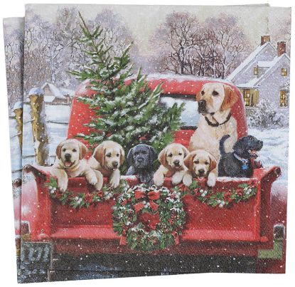 Familietur serviett 33x33