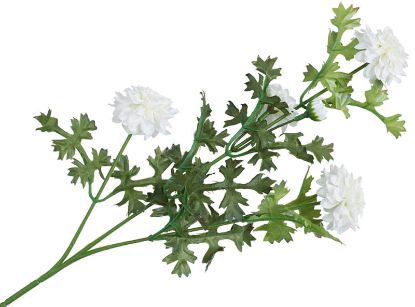 Krysantemum stilkblomst 56 cm hvit