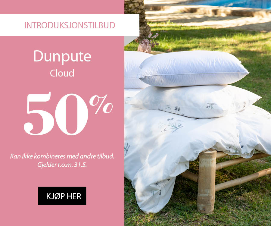 Dunpute Cloud 50%