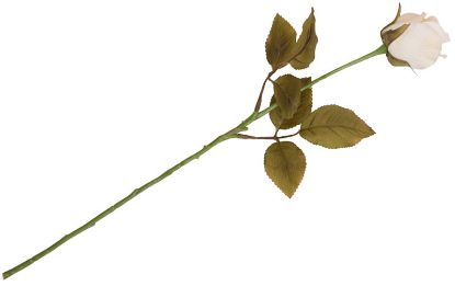 Rose stilkblomst 46 cm hvit