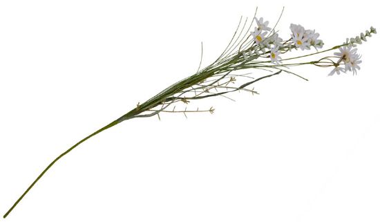 Margeritt stilkblomst 75 cm hvit