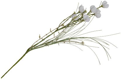 Anemone stilkblomst 48 cm hvit