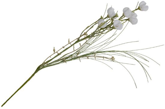 Anemone stilkblomst 48 cm hvit