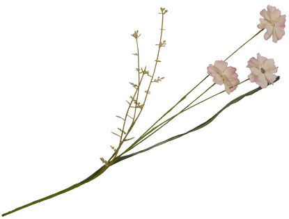 Lina stilkblomst 45 cm lys rosa