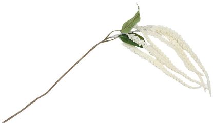 Amaranthus stilkblomst 40 cm hvit