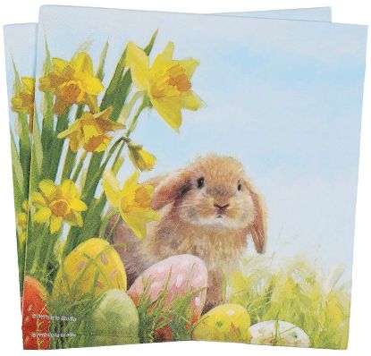 Fluffy serviett 33x33