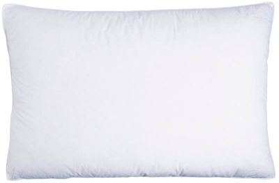 Drøm dunpute HØY MYK 50x70 540 gram